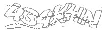 Check code
